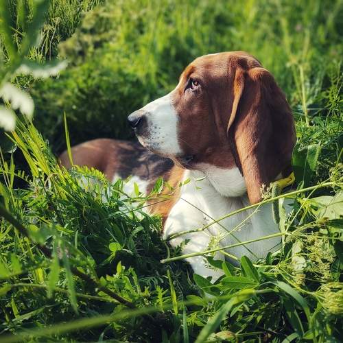 Photo #11738515