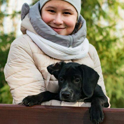 Photo #11738685