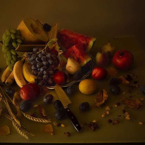 Photo #11738758