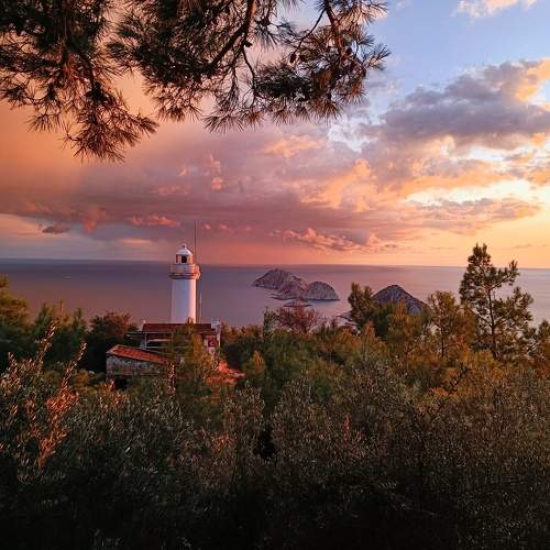 Photo #11738842
