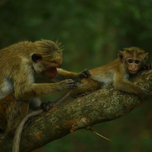 Photo #11738958