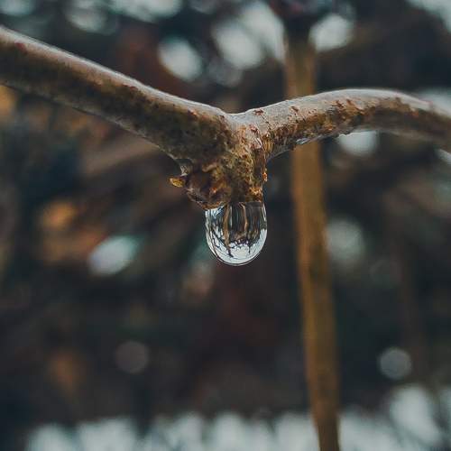 Photo #11738994