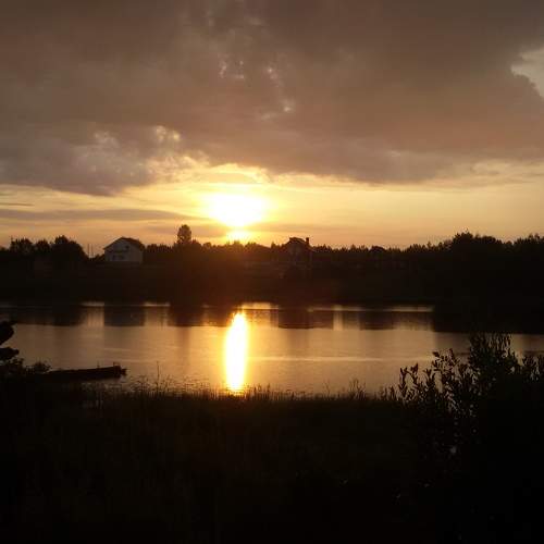 Photo #11739001
