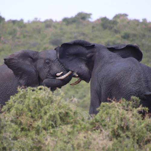Photo #11739050