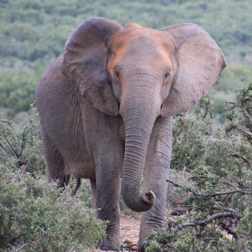 Photo #11739075