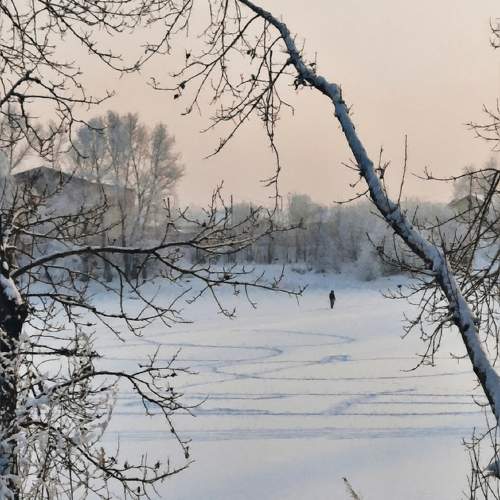Photo #11739243