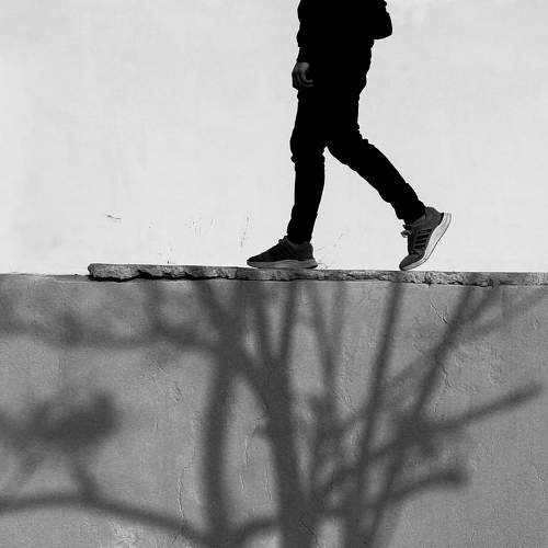 Photo #11739280