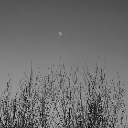 Photo #11739281