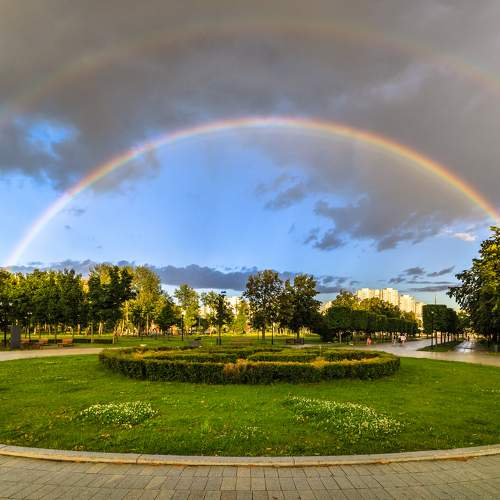 Photo #11739432