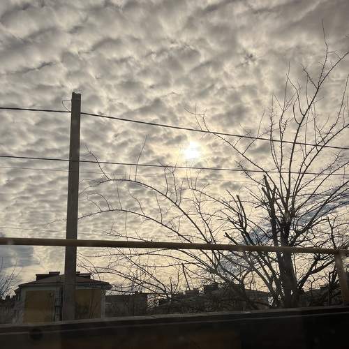 Photo #11739482