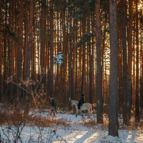 Photo #11739516