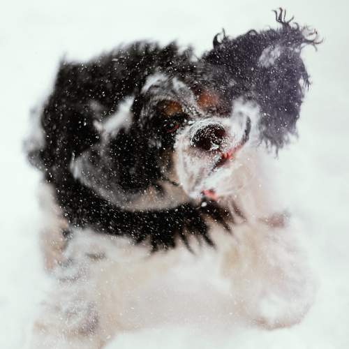 Photo #11739633