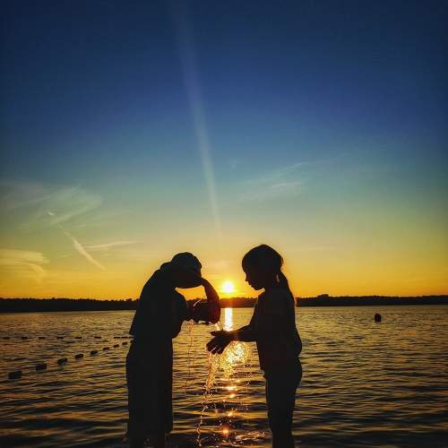 Photo #11739645