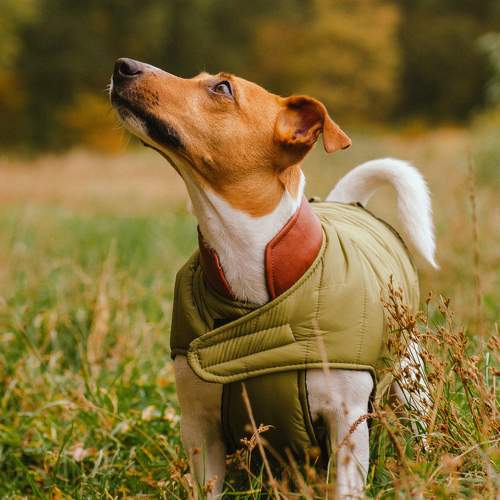 Photo #11739828