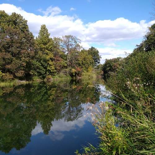 Photo #11740128