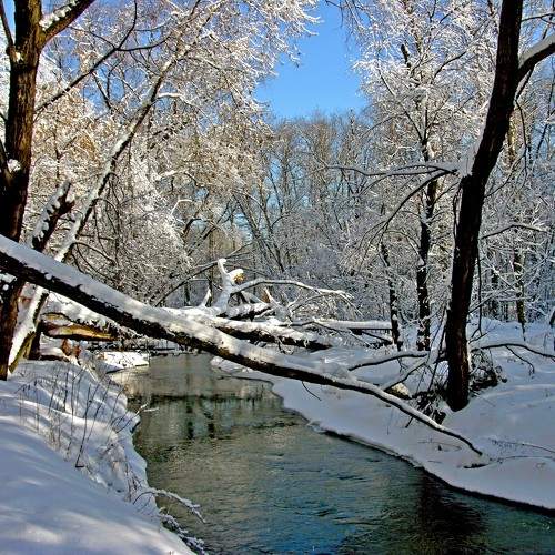 Photo #11740160