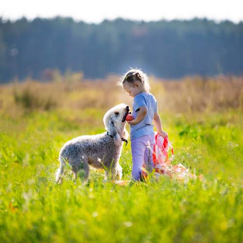 Photo #11740362