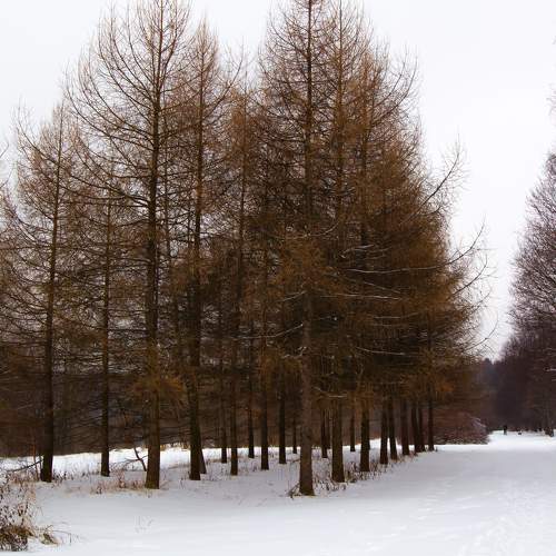 Photo #11740468