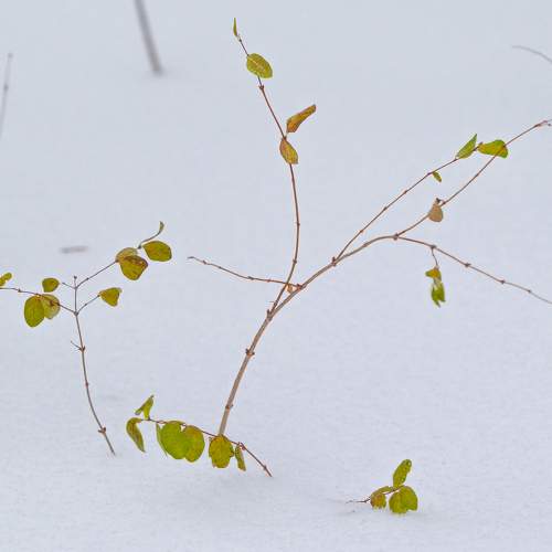 Photo #11740492
