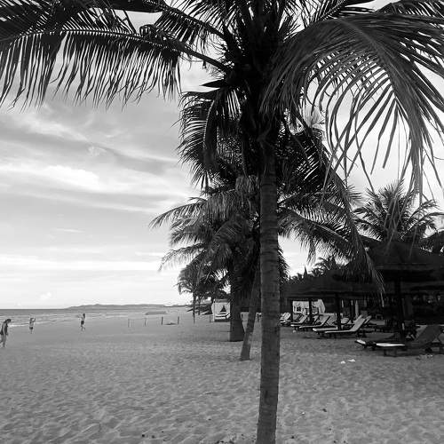 Photo #11740510