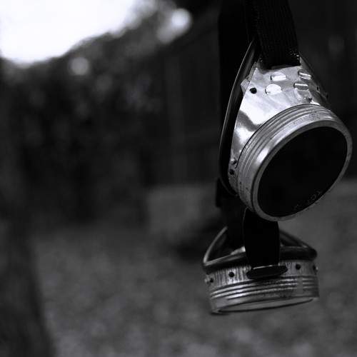 Photo #11740546