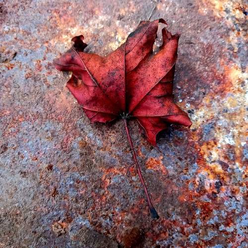 Photo #11740627