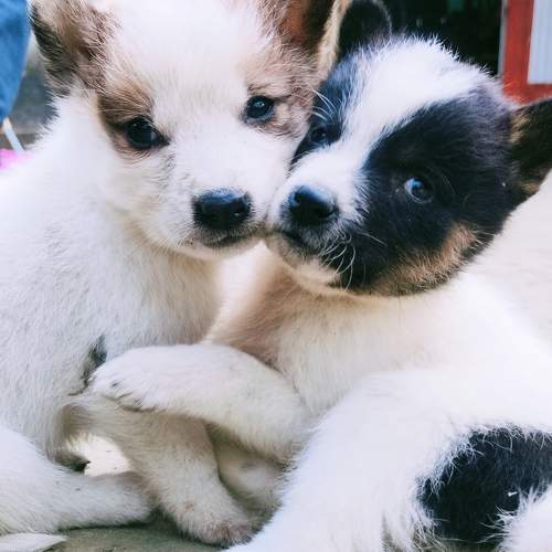 Photo #11740652