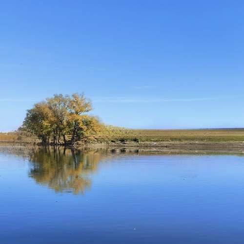 Photo #11741029