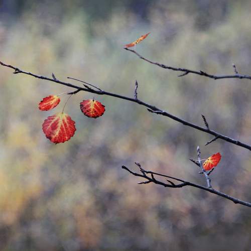 Photo #11741063