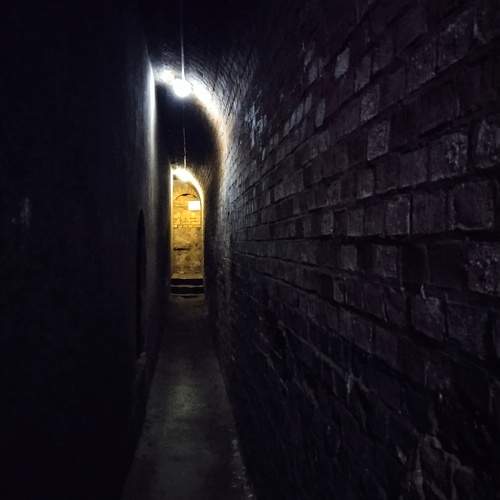 Photo #11741239