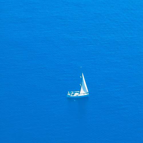 Photo #11741351