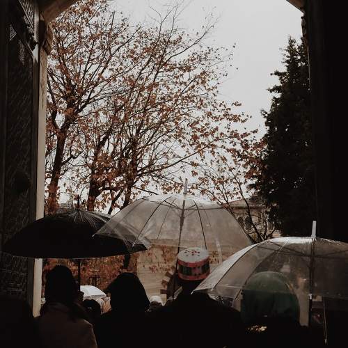 Photo #11741464