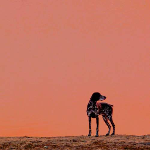 Photo #11741875