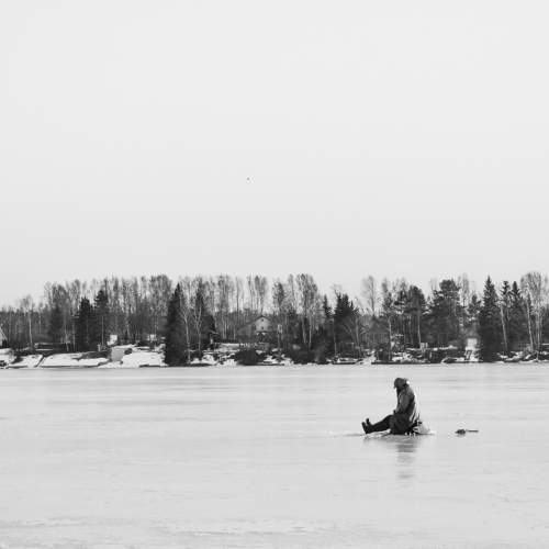 Photo #11741925