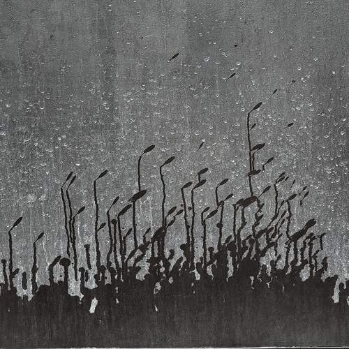Photo #11741972