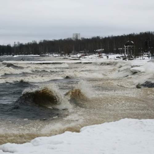 Photo #11742100