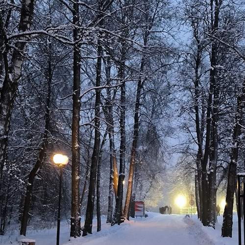 Photo #11742288