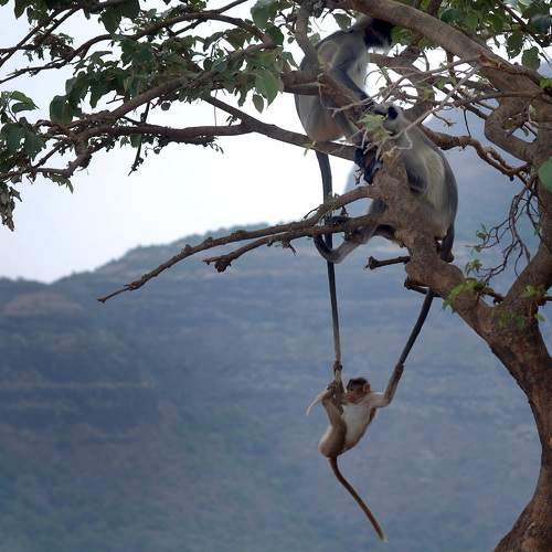 Photo #11742532