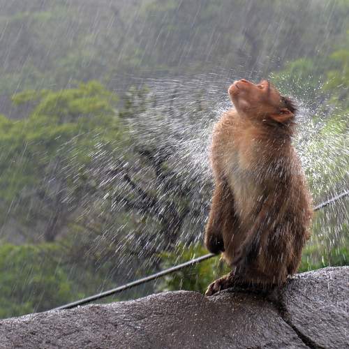 Photo #11742534