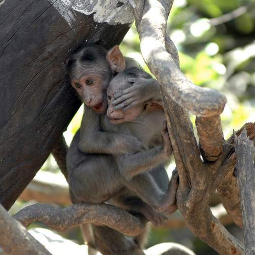 Photo #11742545