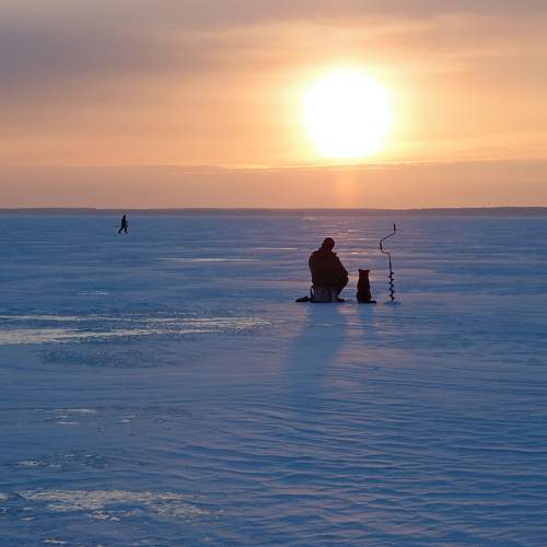Photo #11742651