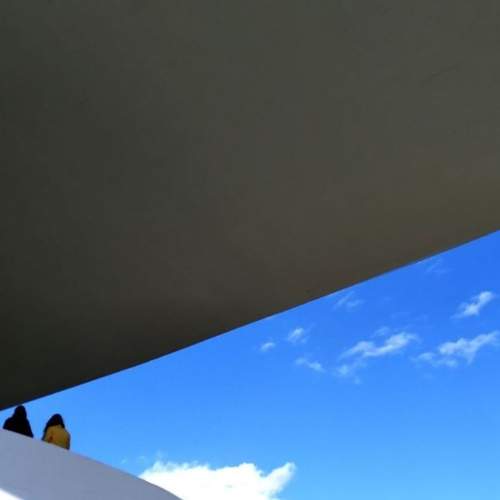 Photo #11742832