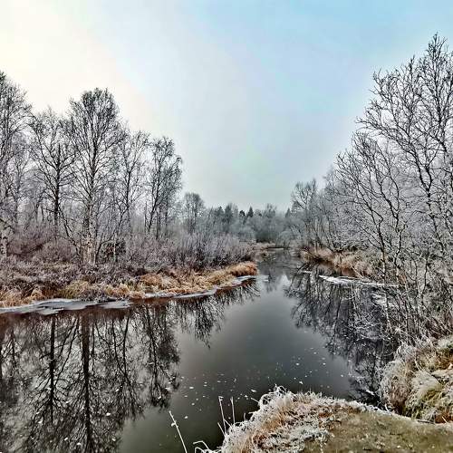 Photo #11742868