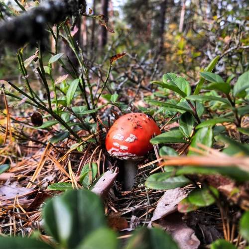 Photo #11742889