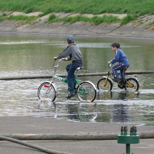 Photo #11742998