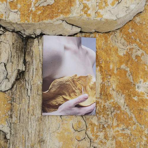 Photo #11743019