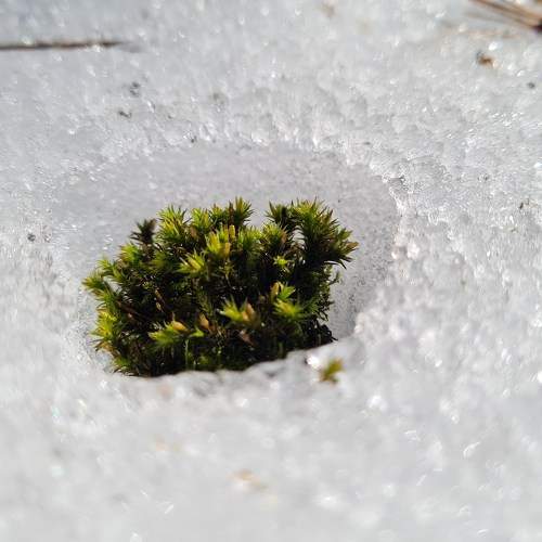 Photo #11743250