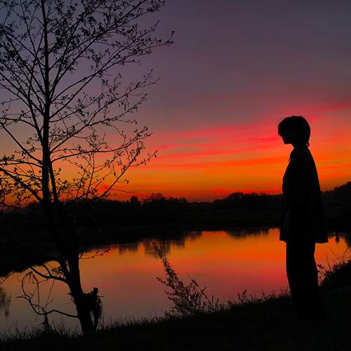 Photo #11743336