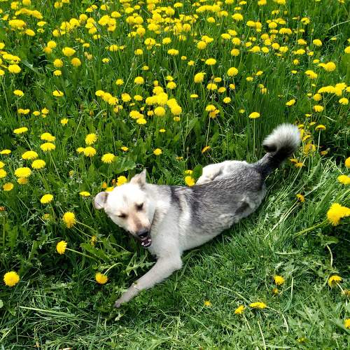 Photo #11743465