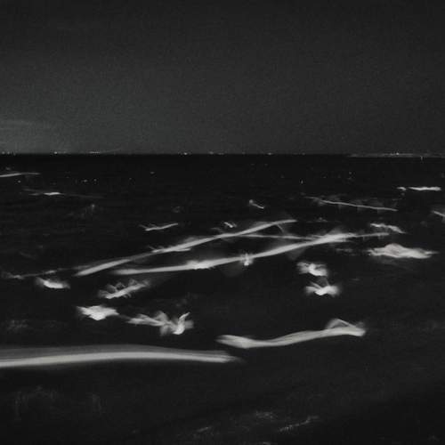 Photo #11743521